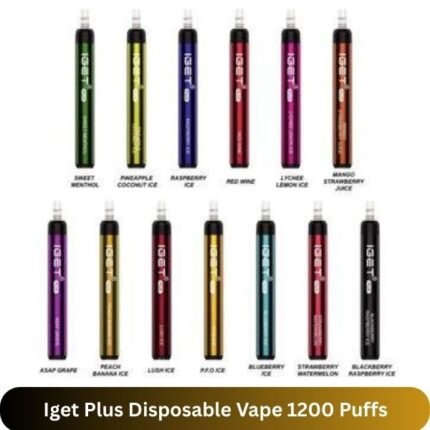 Iget Plus Disposable Vape 1200 Puffs