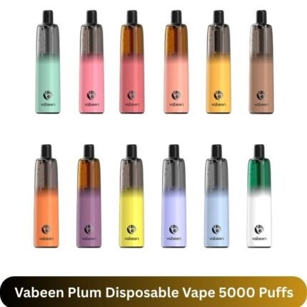 Vabeen Plum Disposable Vape 5000 Puffs